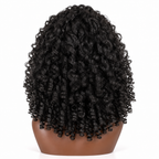 BURMESIA -HALFWIG