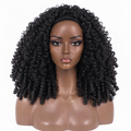 BURMESIA -HALFWIG